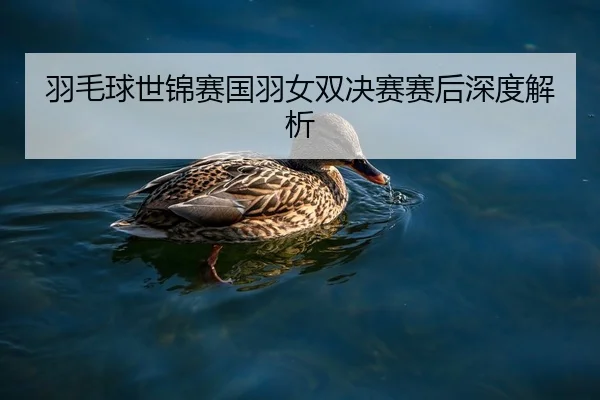 羽毛球世锦赛国羽女双决赛赛后深度解析